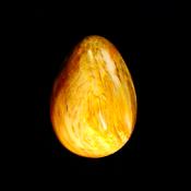 EGG IN PETRIFIED WOOD.   SP13447POL