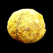 HARPOCERAS AMMONITE FOSSIL IN MATRIX WITH NEGATIVE.    SP13874SLF