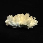 Coral Aragonite (Cave Calcite) Crystal Specimen.   SP15667