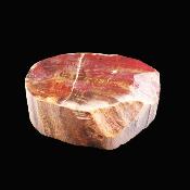 Petrified Wood Polished Face Slice Specimen.   SP17224POL