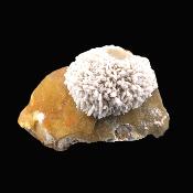 Barytes Formations On Calcite Crystal Specimen.   SP17333