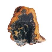 Iria Jasper Polished Face Nodule Specimen.   SP17472POL