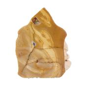 Mookiate Jasper Fully Polished Slice Specimen.   SP17506POL