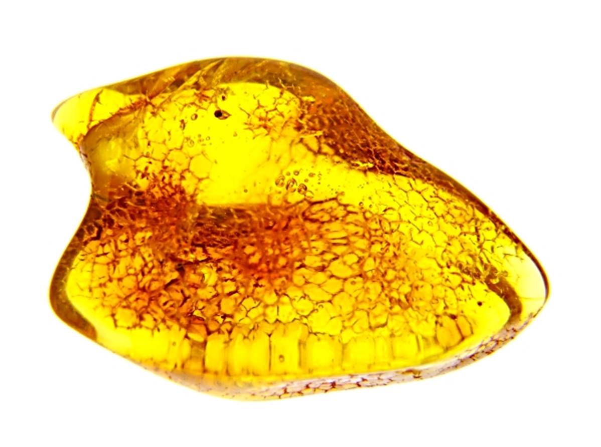 POLISHED BALTIC AMBER SPECIMEN. SP9351POL