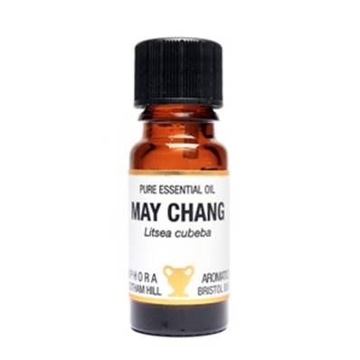 PURE ESSENTIAL OIL - MAY CHANG, litsea cubeba. SPR8641