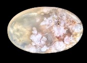 FLOWER AGATE PALM STONE  repeatable 