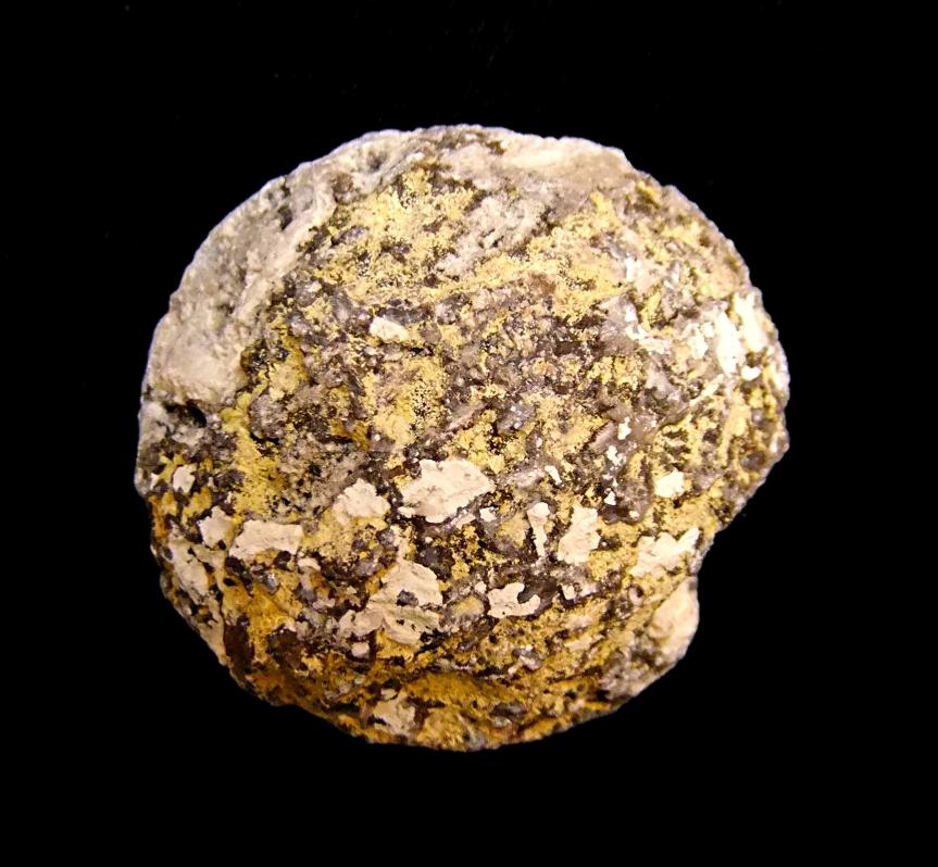 AGATE BROWN RIMMED GEODE SECTION. SP10657POL