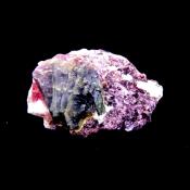 Bi-Coloured Tourmaline with Rubellite & Lepidolite Mica on Feldspar Matrix.   SP15491