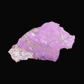 Purpurite Sliced Raw Edge Crystal Specimen.   SP17133
