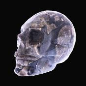 Carving Of A Skull In Volcanic Agate.   SP17219POL