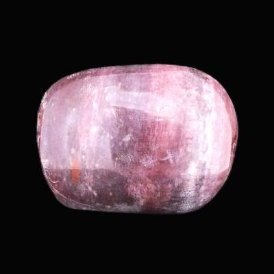 Petrified Wood Polished Pebble/ Palm Stone.   SP17364POL