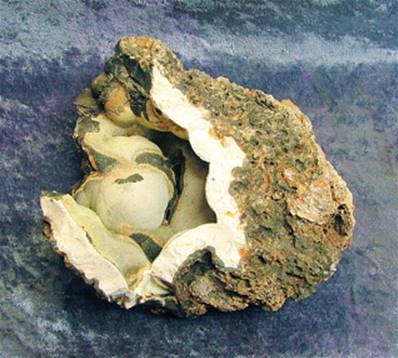 AGATE GEODE SECTION. SP7561