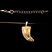 TUSK/ HORN SHAPED PENDANT IN QUARTZ ON WAXED CORD.   SPR14695PEND