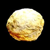 DACTYLOCERAS AMMONITE FOSSIL IN MATRIX WITH NEGATIVE.    SP13873SLF