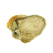 Aragonite (Cave Calcite) Raw Crystal Specimen.   SP15793