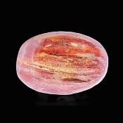 Petrified Wood Polished Pebble/ Palm Stone.   SP17363POL