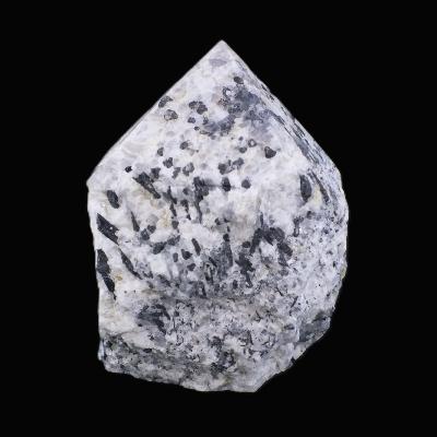 Black Tourmaline In Quartz Raw Top Polished Point Specimen.   SP17497POL