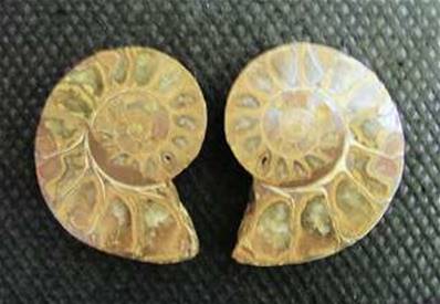 AMMONITE POLISHED FACE PAIR (MADAGASCAR). SP4108POL