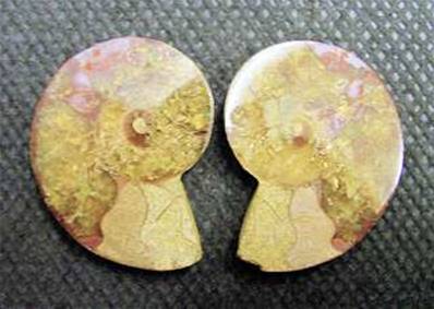 AMMONITE POLISHED FACE PAIR (MADAGASCAR). SP4109POL