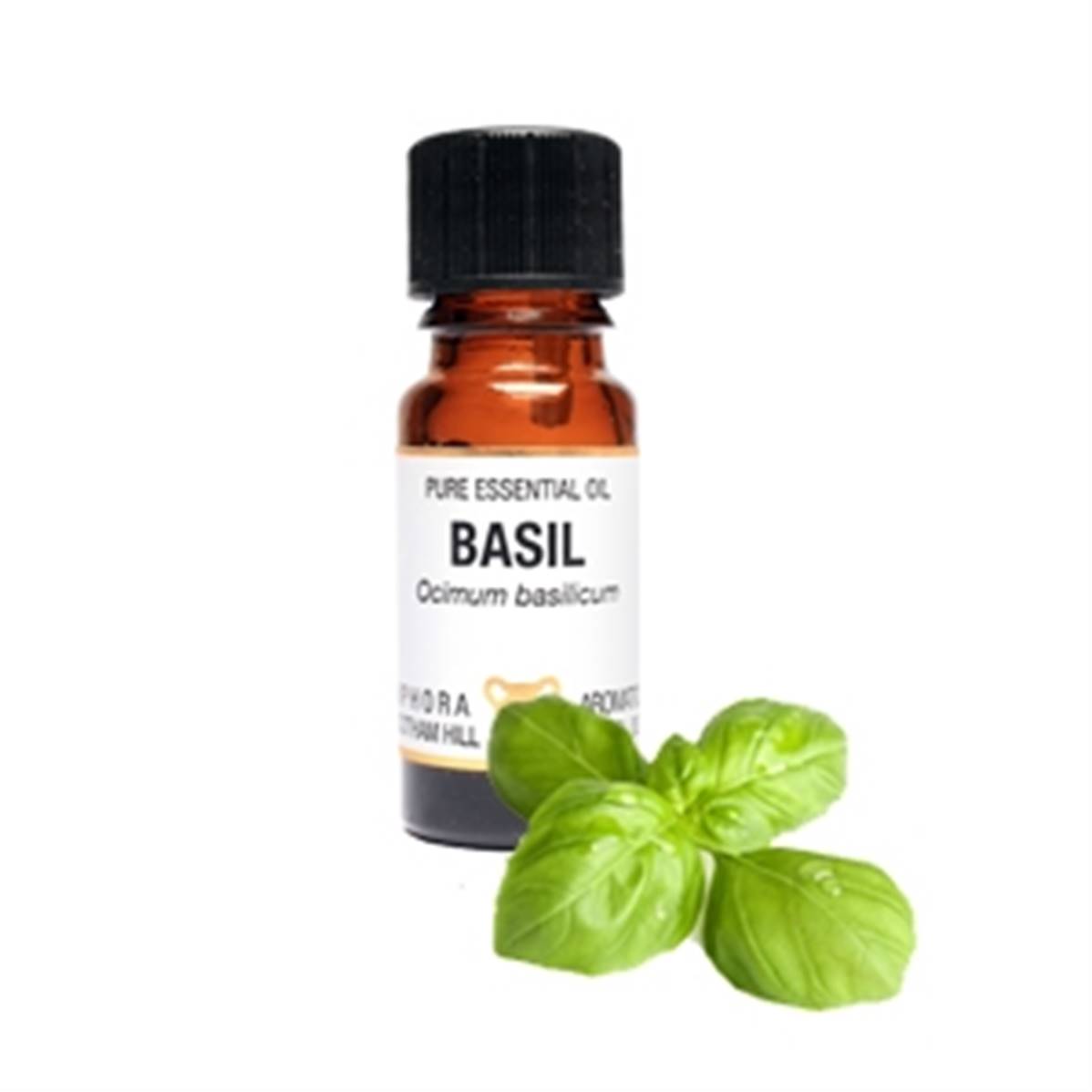 PURE ESSENTIAL OIL BASIL. ocimum basillicum. 10ml. 1/3 fl oz us. 40g