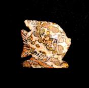 CARVING OF A FISH IN LEOPARD SKIN RHYOLITE.   SP12712POL