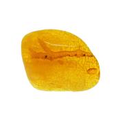 Baltic Amber Dome Polished Specimen.   SP15592POL