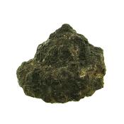 Pleurotomaria Gastropod Fossil.   SP15799