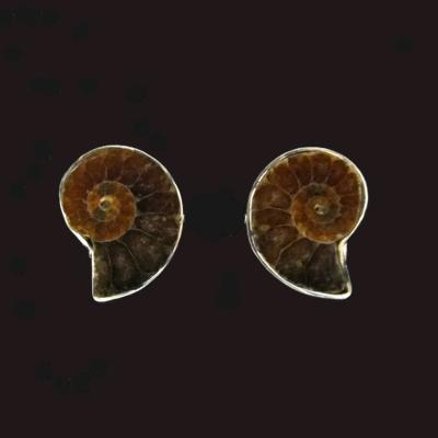 A Pair of Fossil Ammonite Cuff Links With 925 Silver Mounts.   SP16149