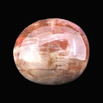 Petrified Wood Polished Pebble/ Palm Stone.   SP17367POL