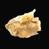 Wulfenite Raw Crystal Specimen.   SP17697