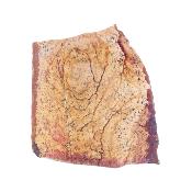 Landscape Jasper Polished Face Crystal Specimen.   SP17711POL
