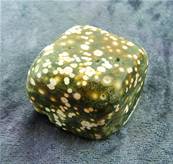 ORBICULAR JASPER POLISHED PEBBLE SPECIMEN (MADAGASCAR). SP6494POL