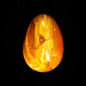 EGG IN PETRIFIED WOOD.   SP13447POL