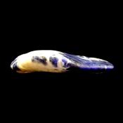 SODALITE POLISHED PEBBLE SPECIMEN.   SP13764POL