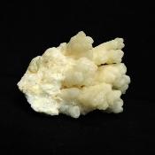 Coral Aragonite (Cave Calcite) Crystal Specimen.   SP15668