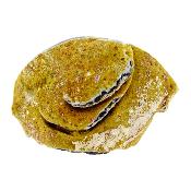 Amethyst Druze/ Geode Specimen.   SP16570POL