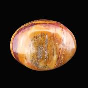 Petrified Wood Polished Pebble/ Palm Stone.   SP17365POL