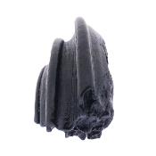 Fossil Horse Tooth Specimen.   SP17516