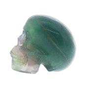 Gemstone Skull Carving In Fluorite.   SP17816POL
