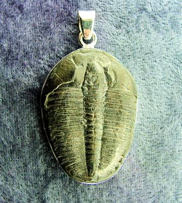 TRILOBITE FOSSIL PENDANT WITH 925 SILVER SETTING. SP7800PEND