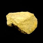 FOSSIL AMMONITE SPECIMEN.   SP13993