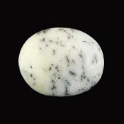 Dendritic Agate Polished Pebble/ Palm Stone.   SP16022POL
