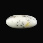 Dendritic Agate Polished Pebble/ Palm Stone.   SP16023POL