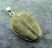 TRILOBITE FOSSIL PENDANT WITH 925 SILVER SETTING. SP7800PEND