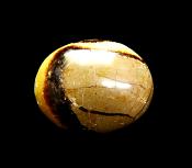 SEPTARIAN POLISHED PALMSTONE.   SP12326POL