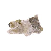 Hydrotalcite Lizardite Raw crystal Specimen.   SP16947