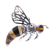 Wasp Pendant In 925 Silver Featuring  Two Colours Of Baltic Amber.   SP17297PEND