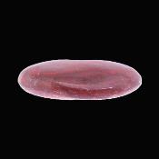 Petrified Wood Polished Pebble/ Palm Stone.   SP17363POL