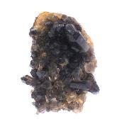 Smokey Quartz Raw Cluster/ Druze Specimen.   SP17437