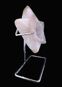 Agate Geode Star Carving On Metal Stand.   SP17570POL